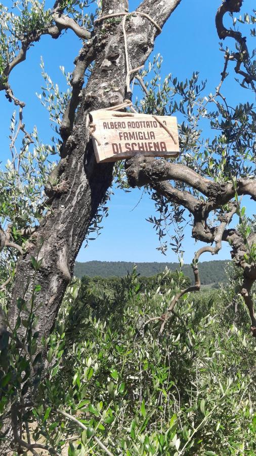 Alba Del Gargano Home Vieste Zewnętrze zdjęcie
