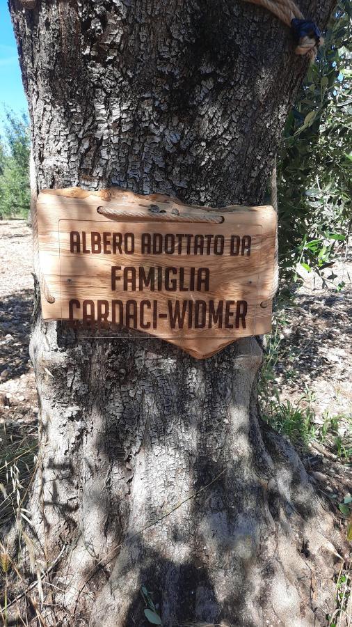 Alba Del Gargano Home Vieste Zewnętrze zdjęcie