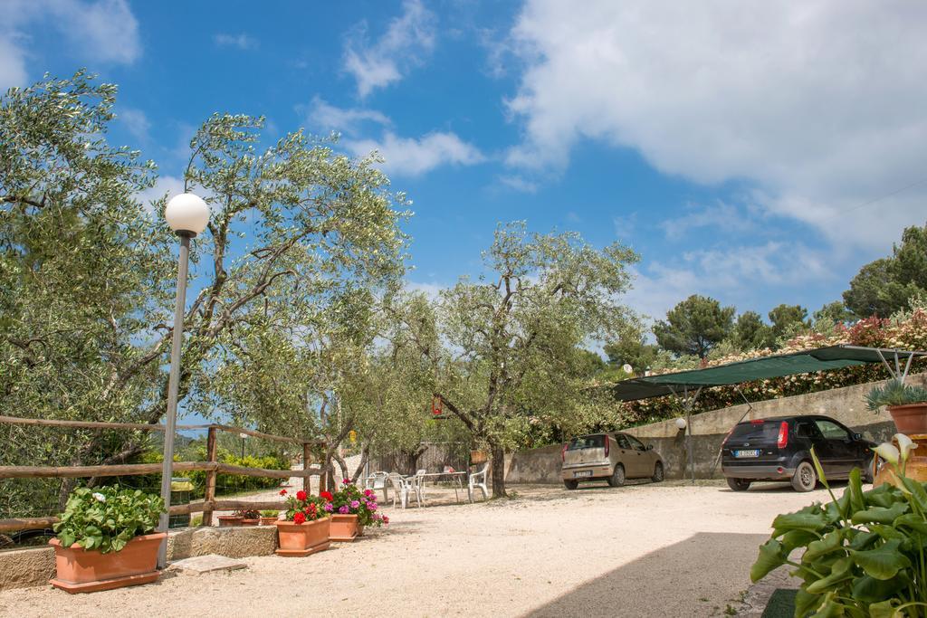 Alba Del Gargano Home Vieste Zewnętrze zdjęcie
