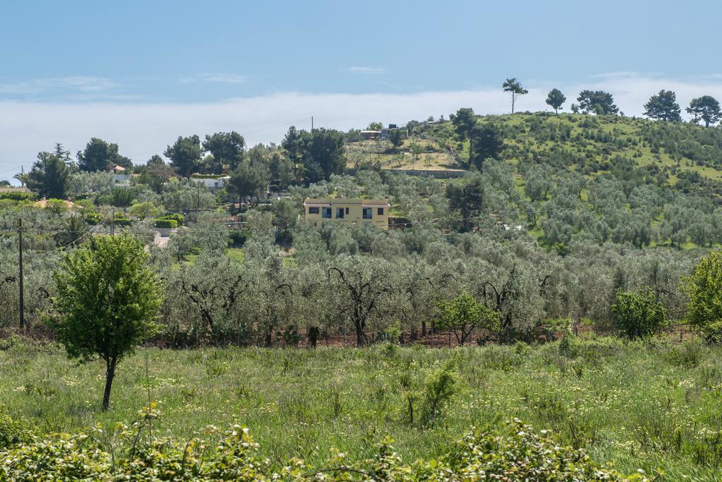 Alba Del Gargano Home Vieste Zewnętrze zdjęcie