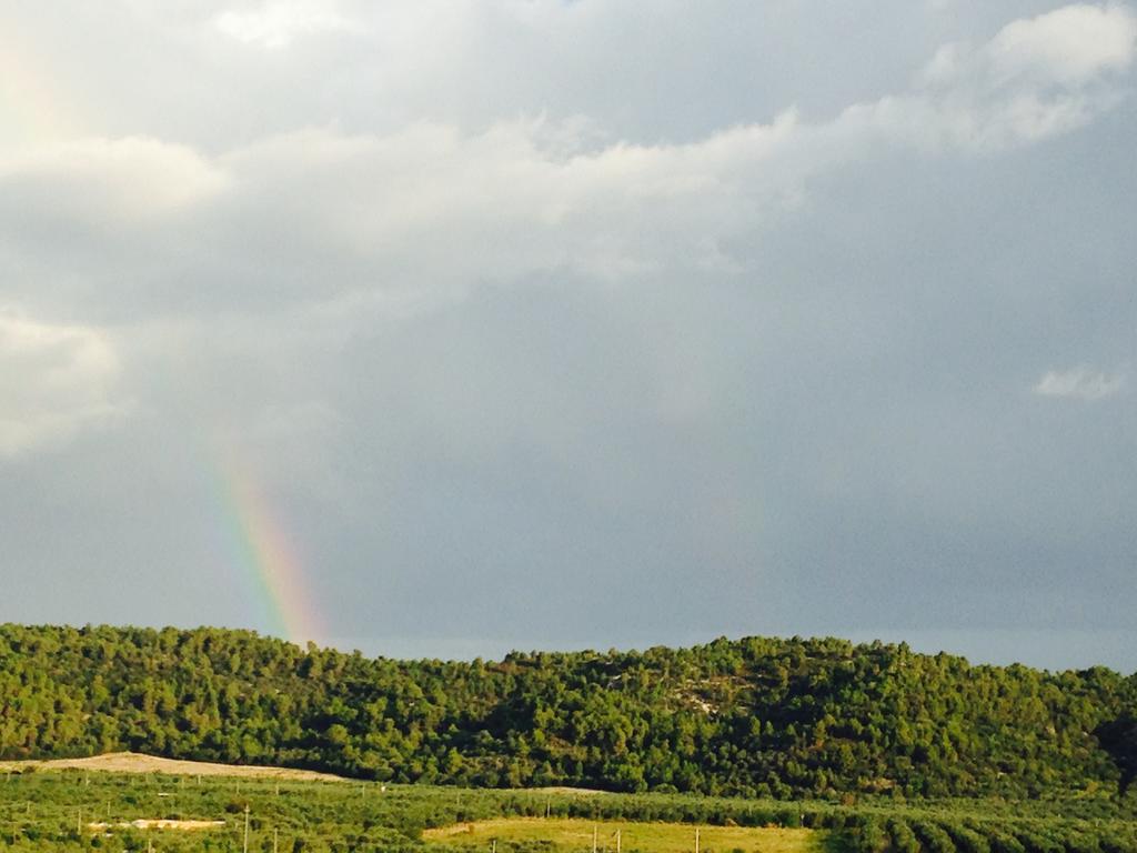 Alba Del Gargano Home Vieste Zewnętrze zdjęcie